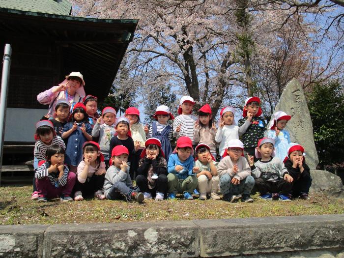 桜の下で撮った、子供たちの集合写真
