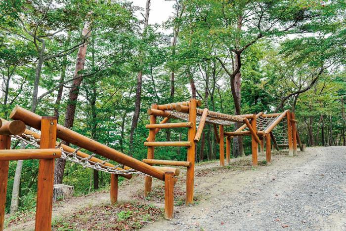 丸太と縄で構成された大槻公園のアスレチックの写真
