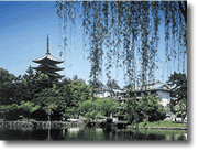 興福寺の画像