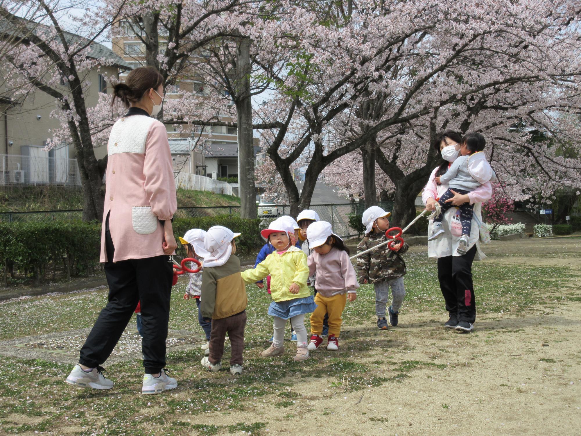 お花見の画像2