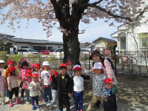 桃見台保育所お花見