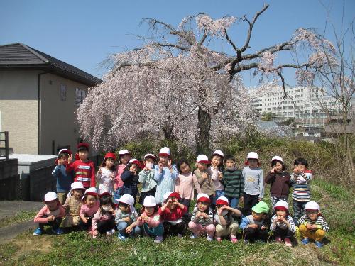 桜の木の下で集合写真