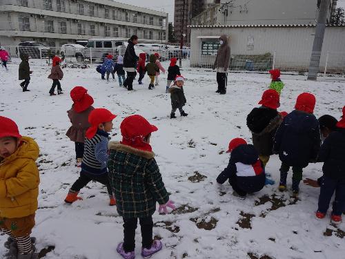 初めての雪遊びの画像1