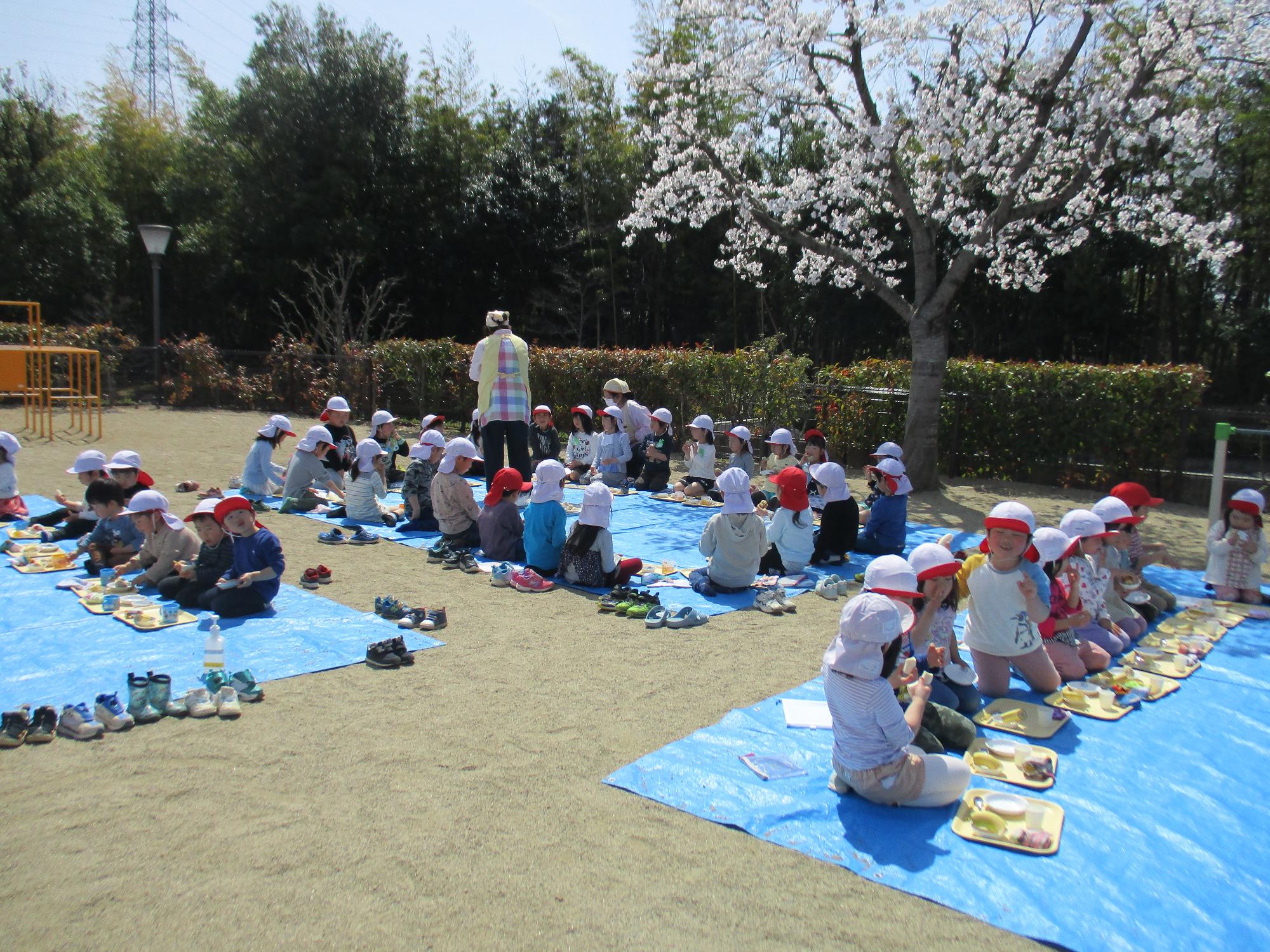 お花見をしている子供たちの写真です