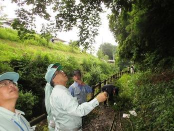 河川クリーンアップ作戦の写真