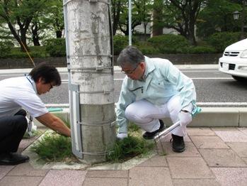 木戸前清掃2の写真