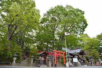 安積国造神社のケヤキの画像