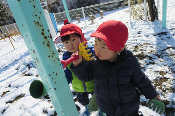 ひよこ組男の子と雪