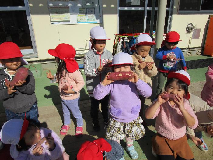 ぱんだ組お芋と写真