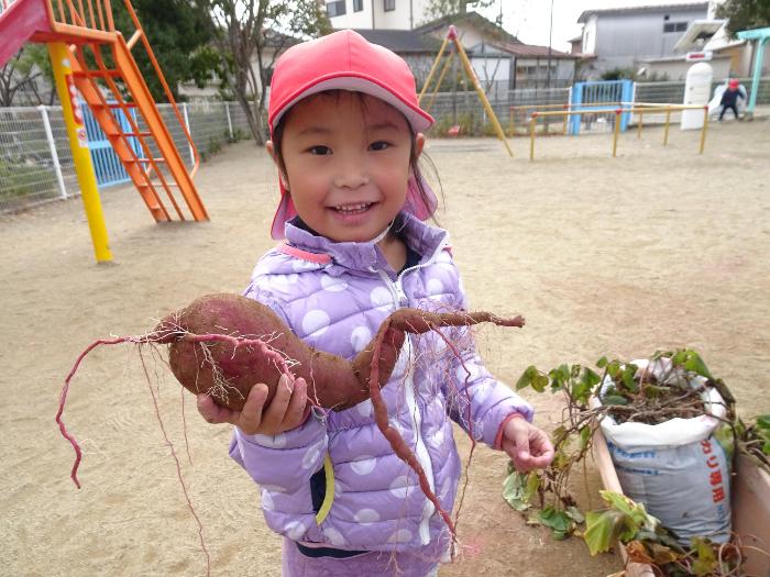 おおきなおいも