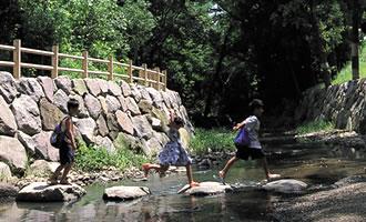 市民との協働により復活した安積疏水の清流「南川渓谷」の写真