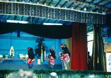 柳橋の獅子舞の写真