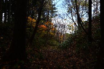 勢至堂峠の画像