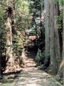 王宮伊豆神社の参道の写真
