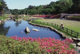山ノ井公園の写真