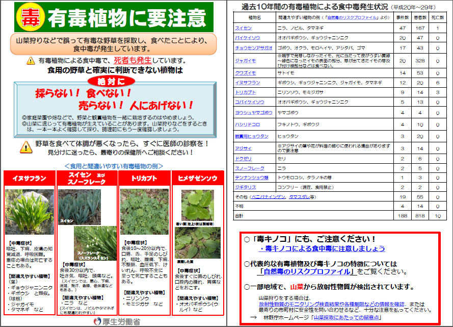 リーフレット：有毒植物に要注意の画像