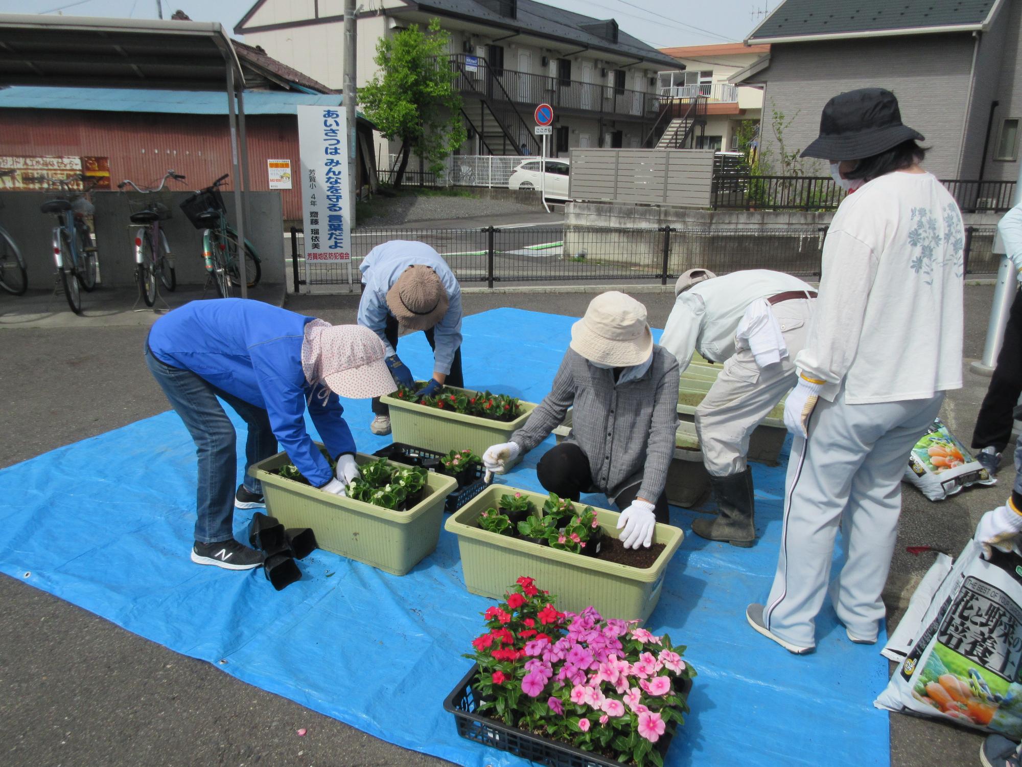 花苗植えの様子2