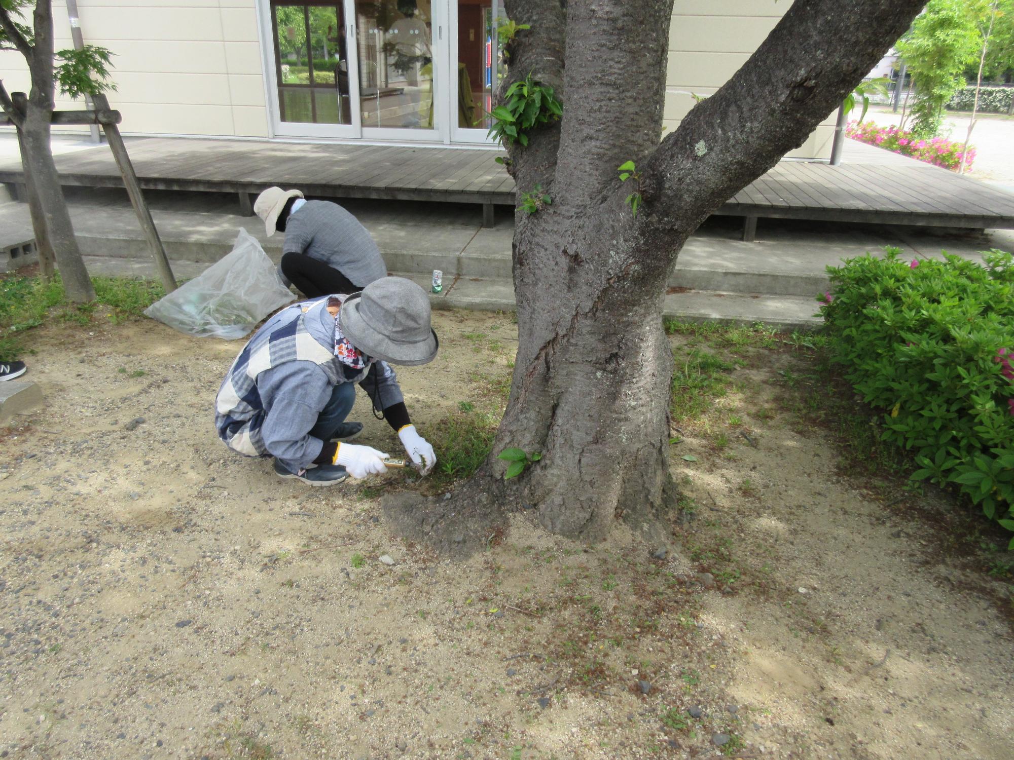 公民館駐車場清掃の様子の画像1