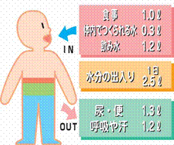 一日に必要な水の量のイラスト