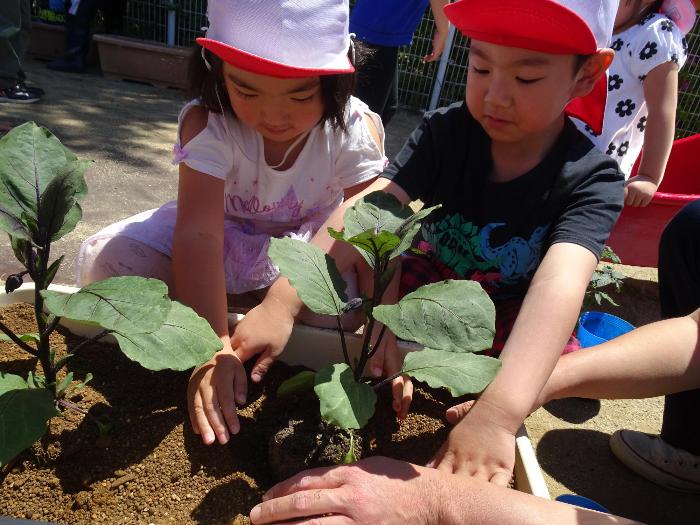 苗植え女の子と男の子