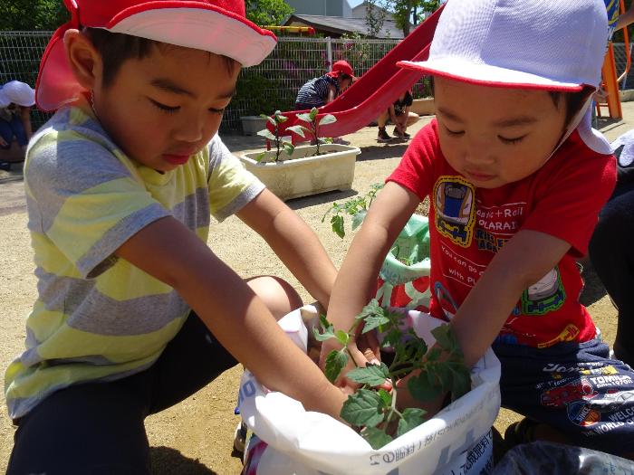 苗植え男の子ふたり