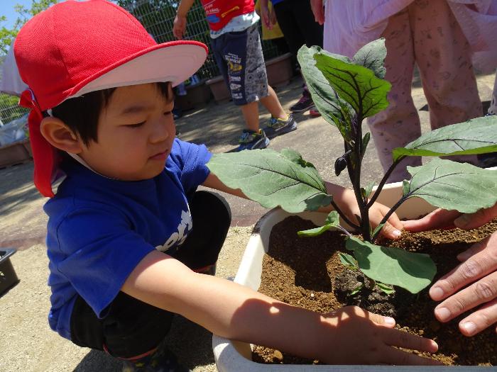 苗植え男の子ひとり