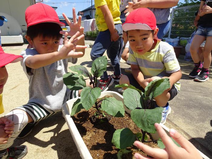 大きくなあれとパワーを送る男の子