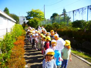 さくら組とせせらぎこみちへ散歩に出かけた時の様子です