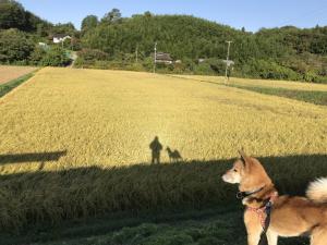 フォトコンテストの開催で西田町の素敵な日常を再発見