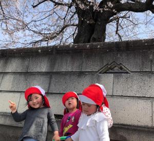 桜の前で写真を撮る児童