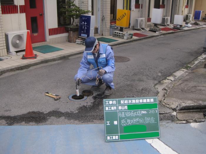 道路調査の様子