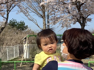 さくらんぼ組のお友達と桜