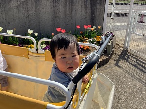 散歩車に乗ってお花見に行くよ