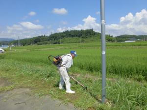 除草活動の写真