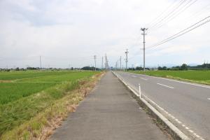 除草した歩道の写真