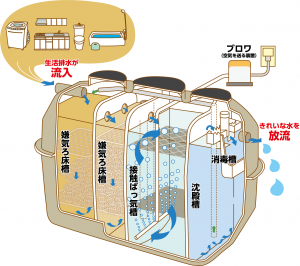 合併処理浄化槽の構造