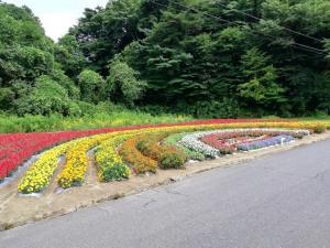 下2集落花の郷