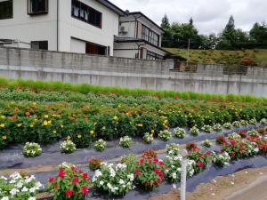 中津川町内会