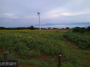 2回目ヒマワリと猪苗代湖