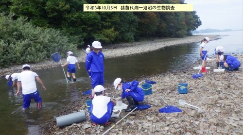 鬼沼でエビや貝などを見つける湖南小中学校の子どもたち