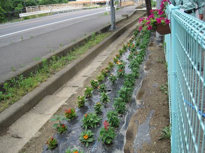 守山小学校3