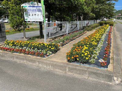 谷田川小学校3