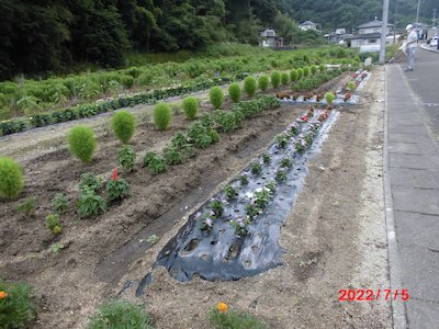 栃本花愛好会1