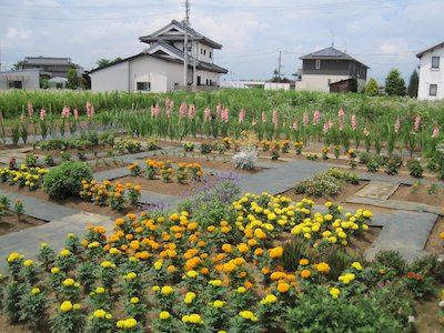 徳定町内会5組2