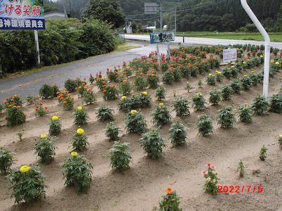 富永平内花を愛する会1