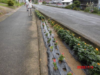 松ノ木組花の会1