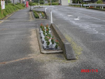 松ノ木組花の会2