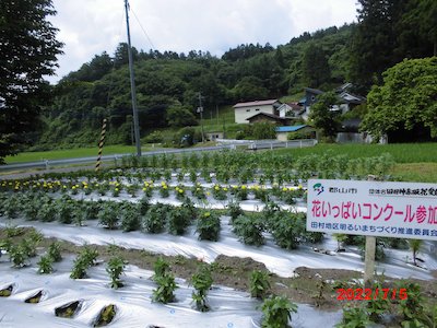 田母神赤坂花愛好会1