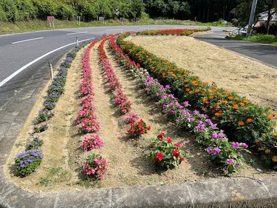 栃山神行政区4