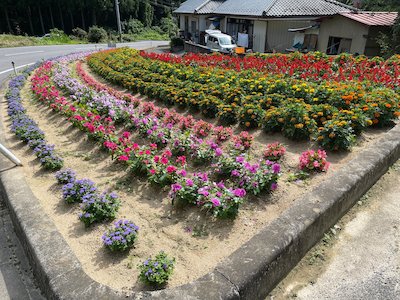 栃山神行政区5